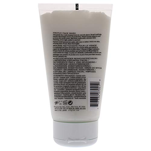 Checks and Balances by Origins Frothy Face Wash 150ml