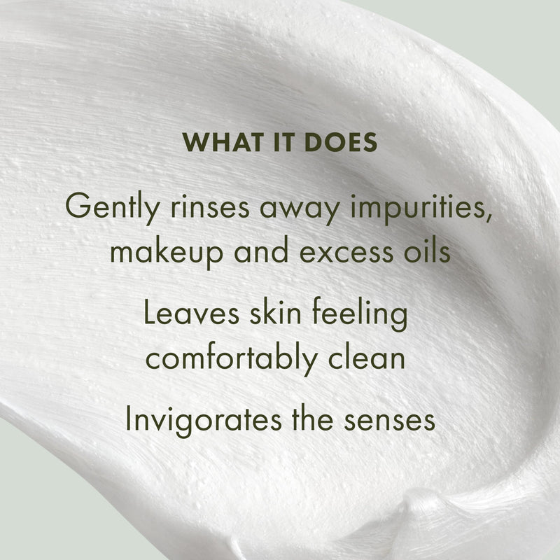 Checks and Balances by Origins Frothy Face Wash 150ml
